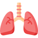 Respiratory Ailments